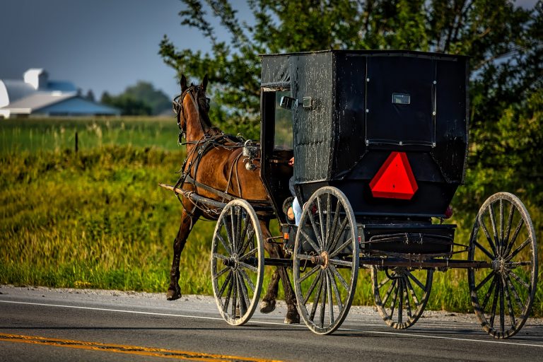 Amish In Den USA: Geschichte Und Bräuchte Der Amischen